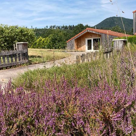 Le Chalet Dans La Nature Saulcy-sur-Meurthe Buitenkant foto